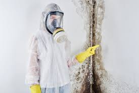 Best Water Damage & Mold Remediation  in Bothell, WA